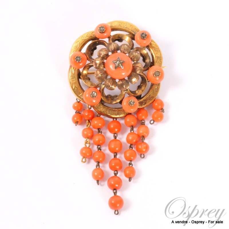 Coral brooch on sale