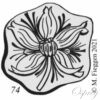 poincon fleur de pavot cadre de forme