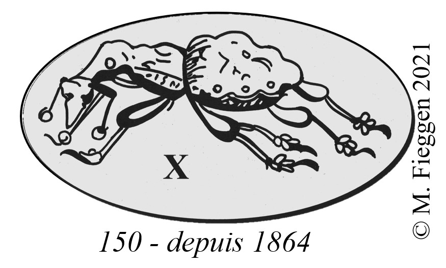 150. Poinçon de charançon à gauche dans un cadre ovale - Osprey Paris