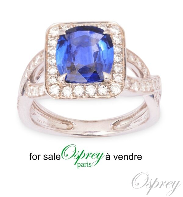 bague en or blanc, saphir et diamants, anneau embelli. osprey paris