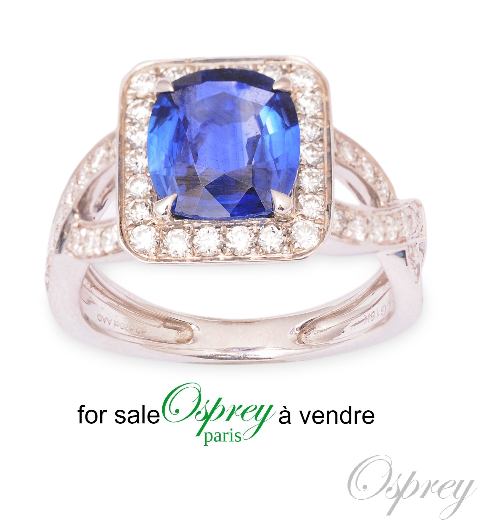 bague en or blanc, saphir et diamants, anneau embelli. osprey paris